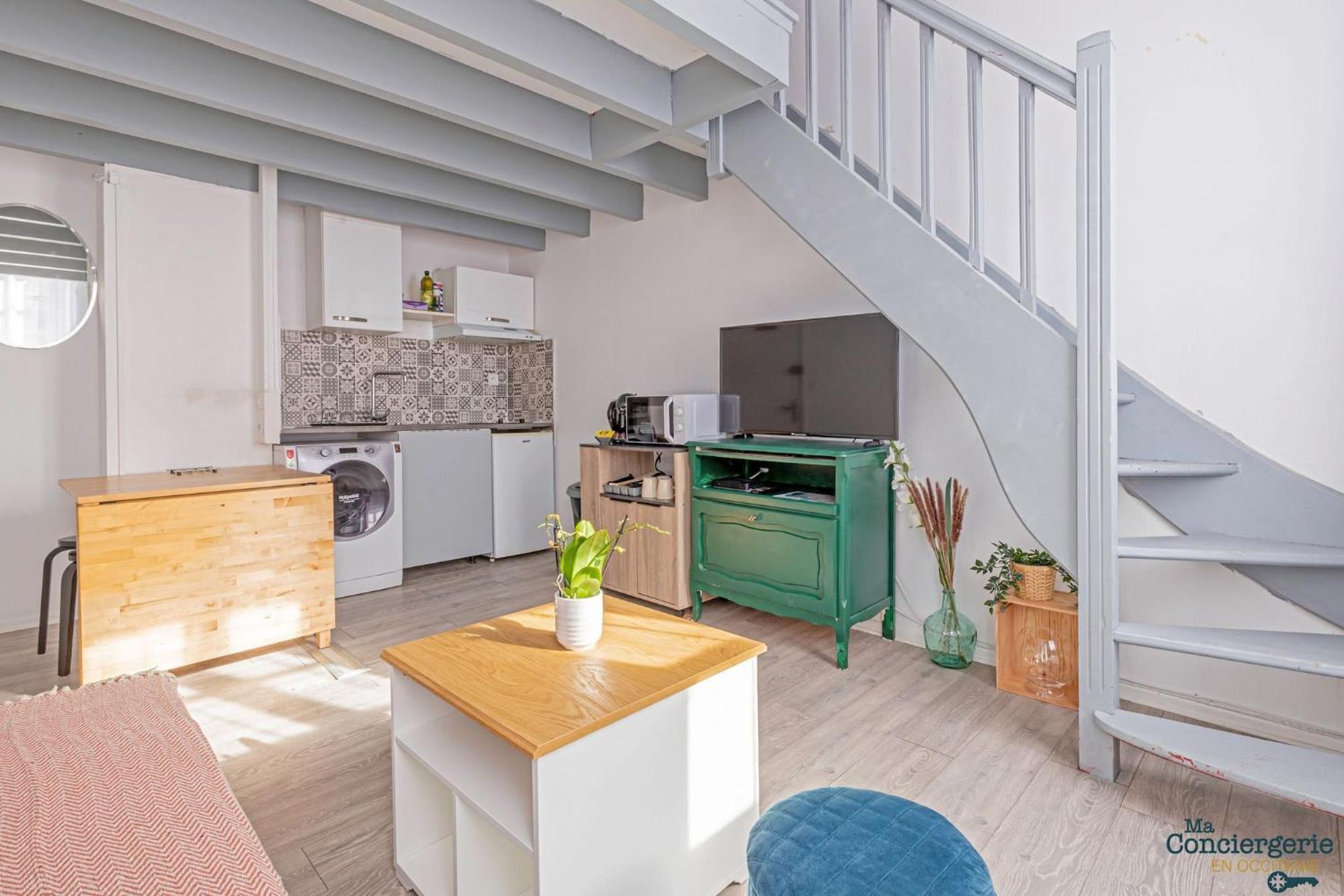 Duplex Champetre : Gare, Marche, Hypercentre Apartment Toulouse Exterior photo