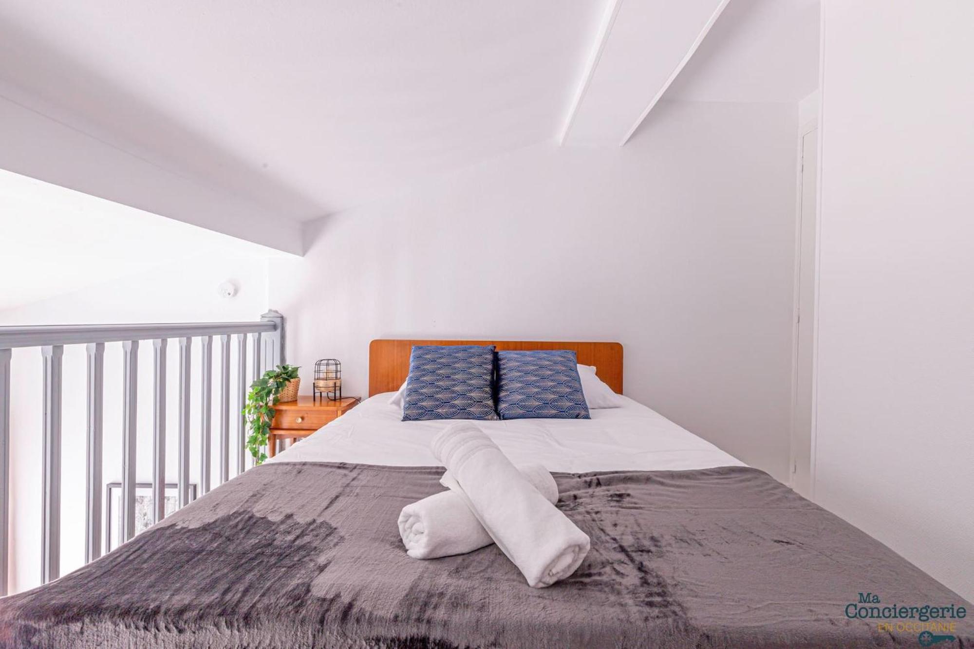 Duplex Champetre : Gare, Marche, Hypercentre Apartment Toulouse Exterior photo